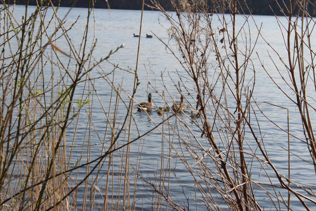 Holiday home Landbrise Petersfeld
