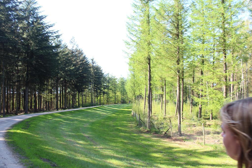 Landbrise Holiday home *